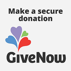 givenow-button-square-light.png